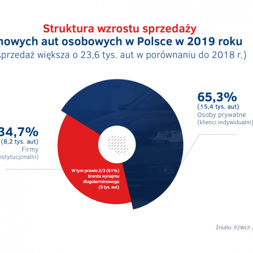 Struktura wzrostu sprzedazy nowych aut  w Polsce 2019.png